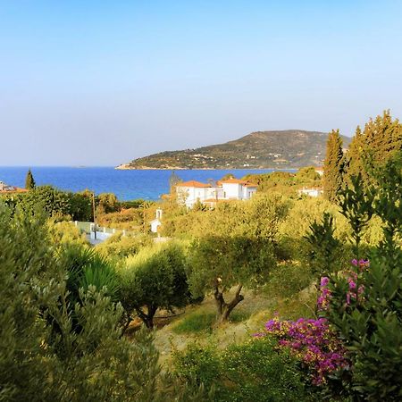 Kedros Hotel Samos Island Exterior foto